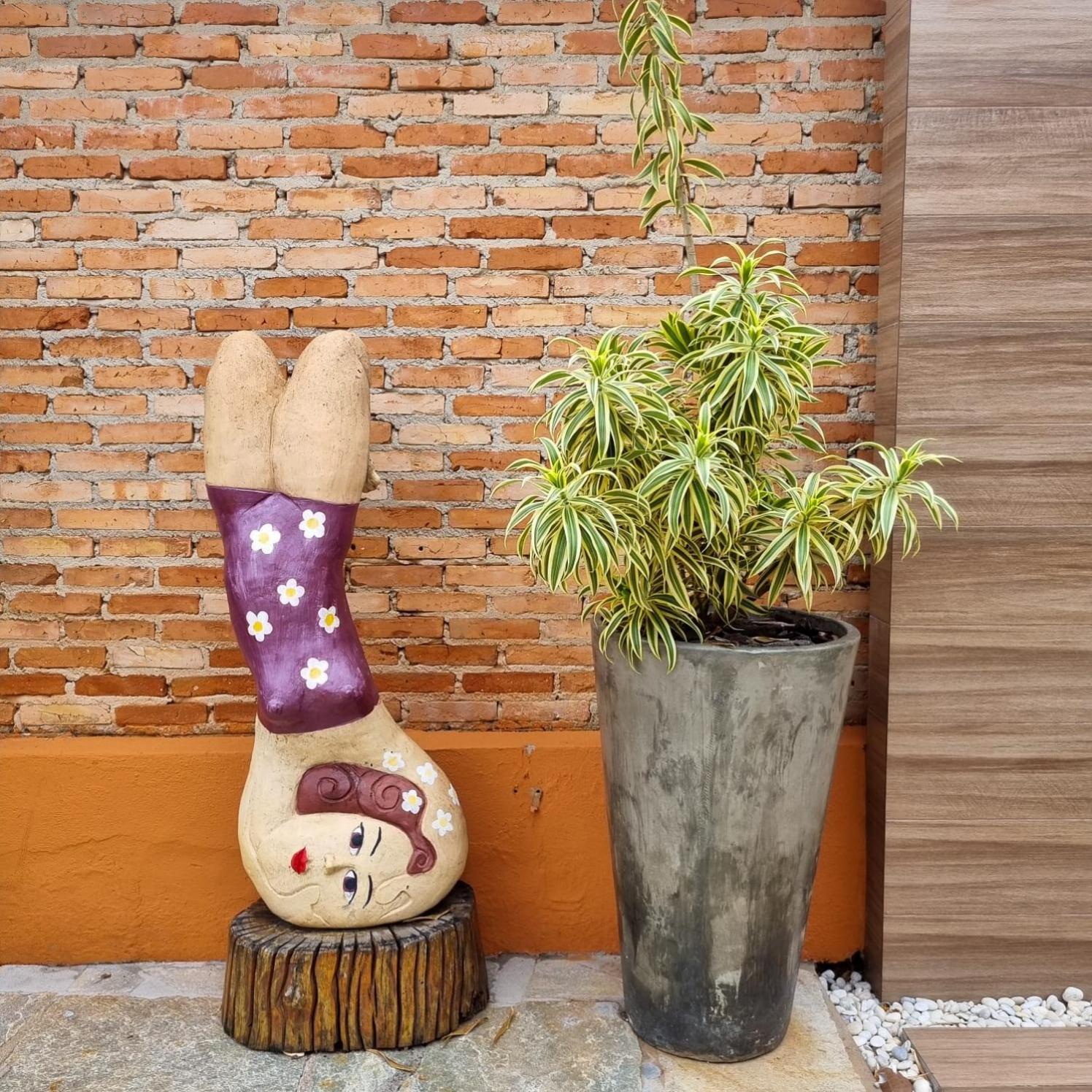 Pouso 22 호텔 피라노폴리스 외부 사진